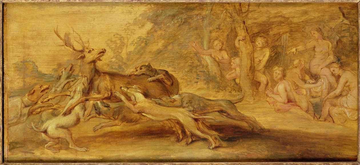 Ukendt billede af Peter Paul Rubens