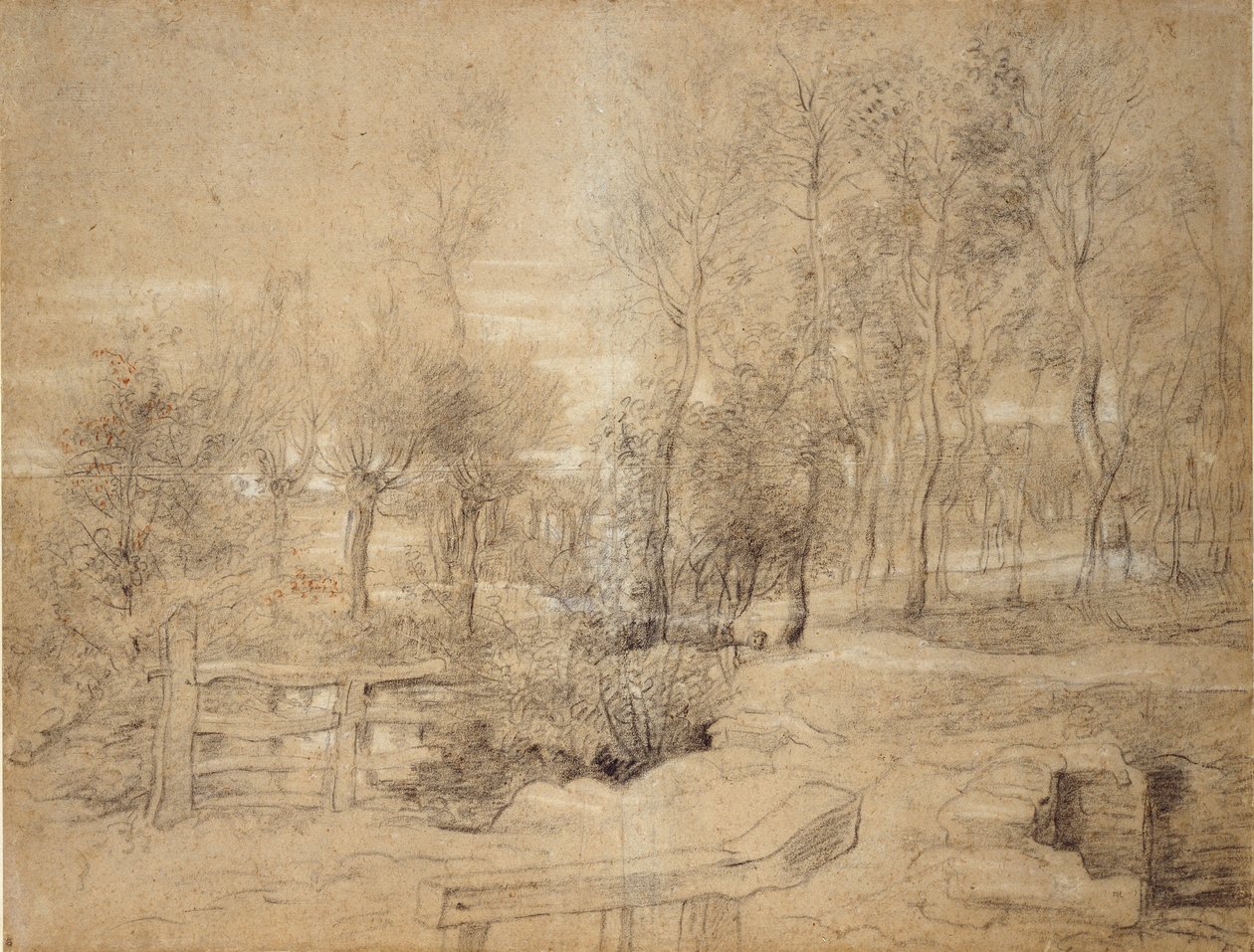 Skovscene, begyndelsen af det 17. århundrede af Peter Paul Rubens