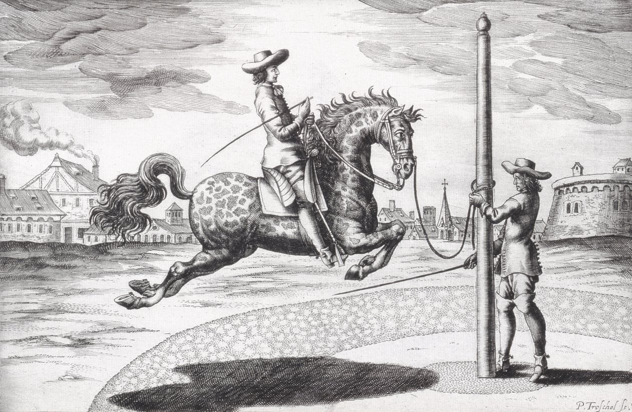 A Horse en Capriole fra New Treatise for Breeding Horses skrevet af Winters, Stuterey og Reit-Schul, indgraveret af kunstneren, pub. 1672 stik af Peter Paul Troschel