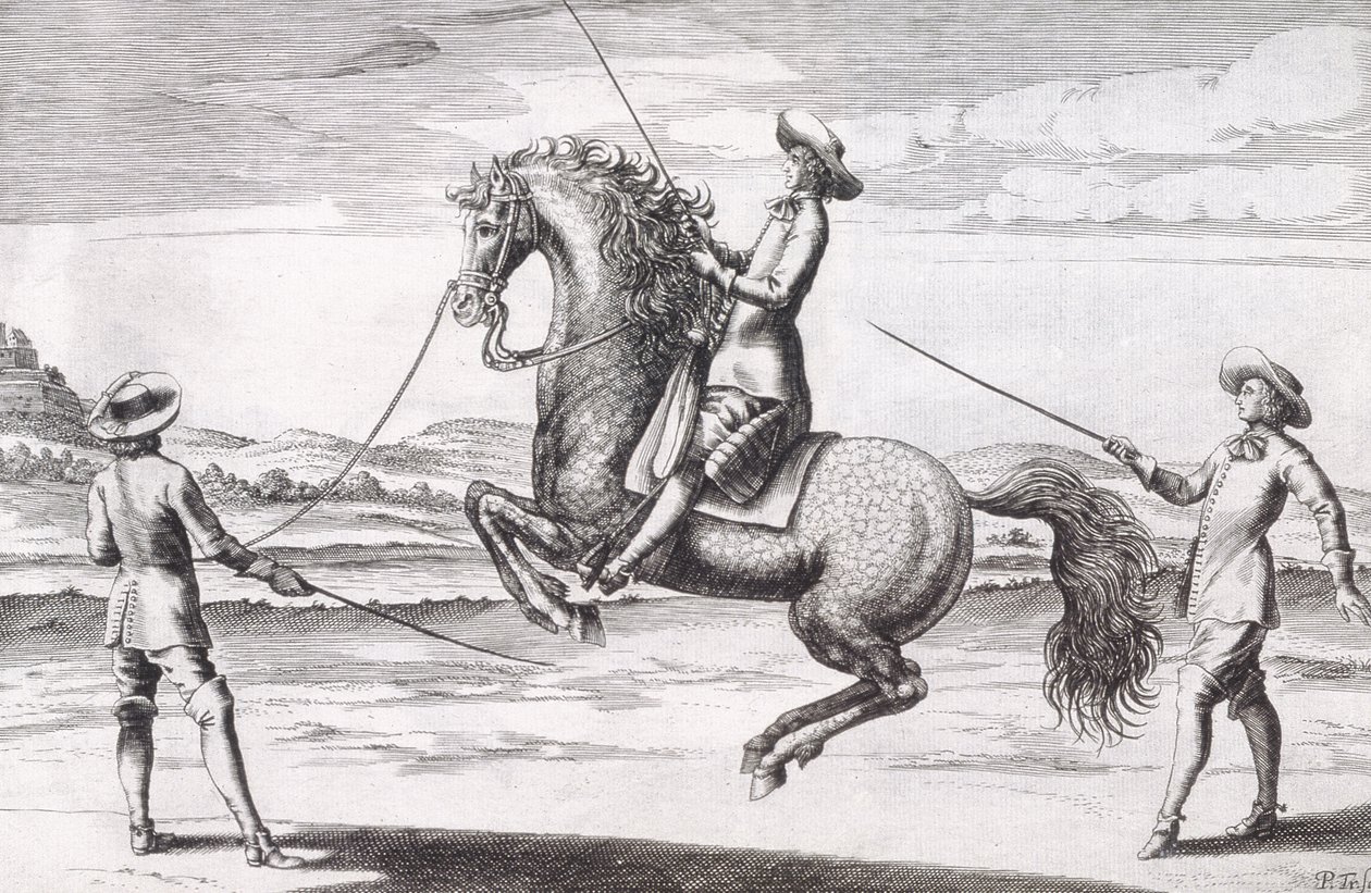 Illustration af en hest en Croupade fra New Treatise for Breeding Horses skrevet af Winters, Stuterey og Reit-Schul, udgivet af Winters, Stuterey og Reit-Schul. 1672 af Peter Paul Troschel