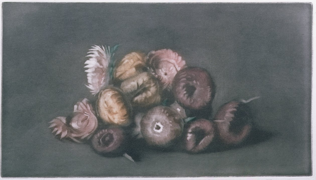 Stilleben af tørrede blomster (farvet mezzotint) af Peter Vilhelm Ilsted
