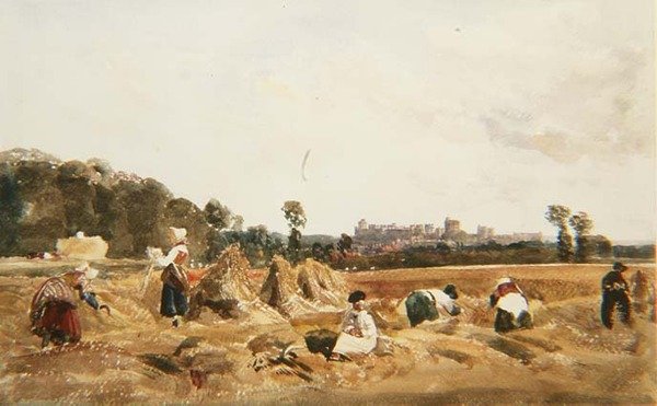 PD.129-1950 Cornfield, Windsor af Peter de Wint