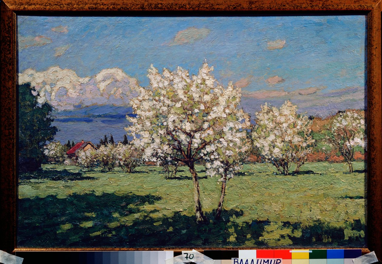 Kirsebær blomster. Maleri af Pyotr Ivanovich Petrovichev (Pyotr Petrovichev) (1874-1947), olie på lærred af Petr Ivanovic Petrovichev