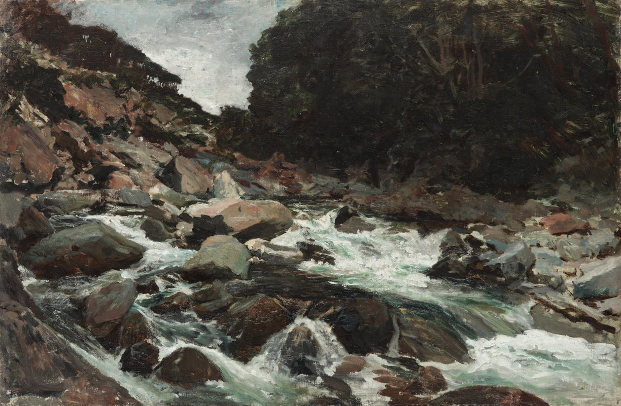 Mountain Stream, Otira Gorge af Petrus van der Velden