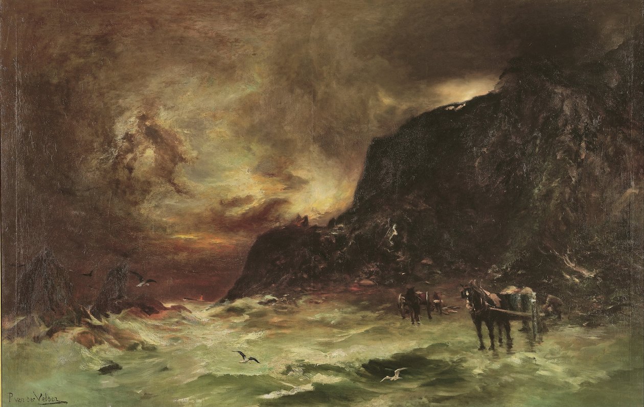 Storm ved Wellington Heads af Petrus van der Velden