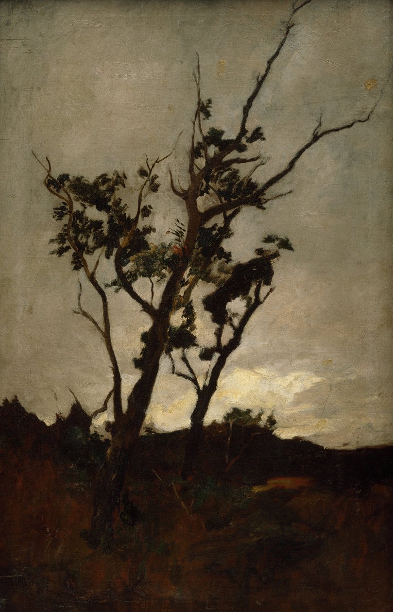 Træundersøgelse af Petrus van der Velden