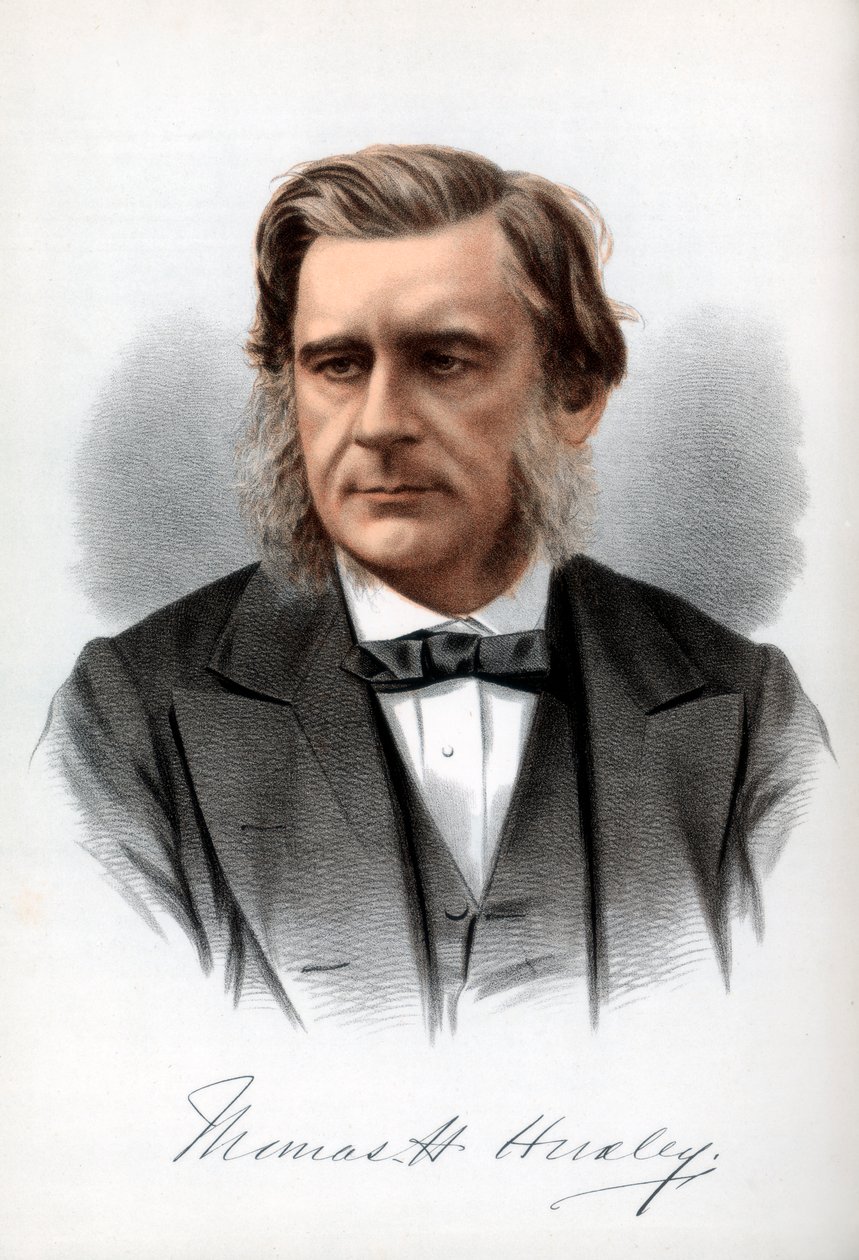 Thomas Henry Huxley, engelsk biolog, c1890. af Petter and Galpin Cassell
