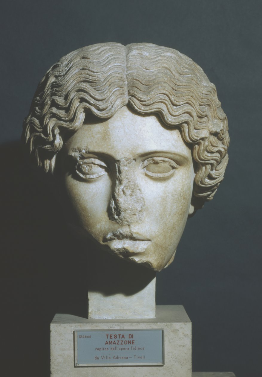 Amazons hoved af Phidias Phidias