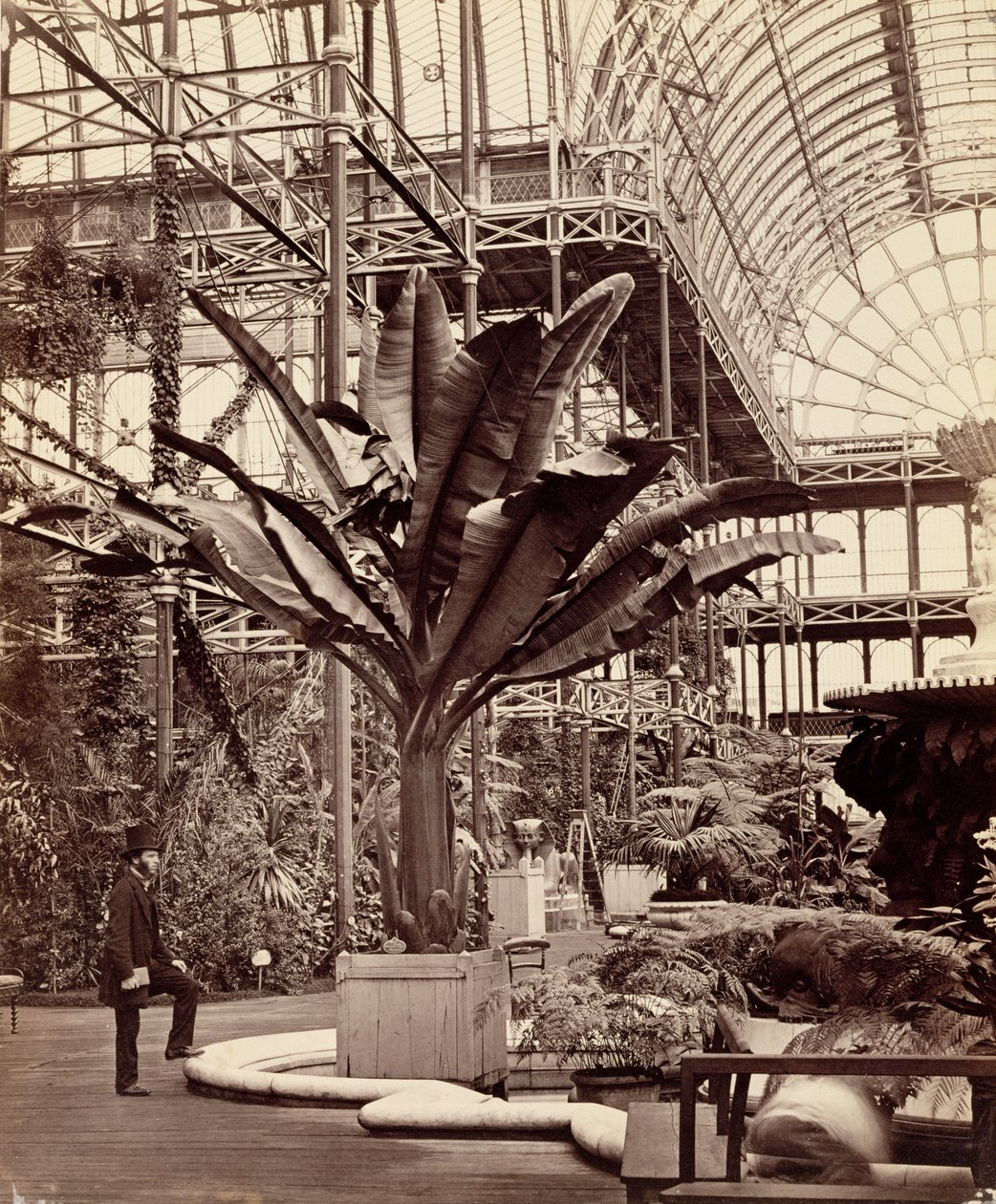 Tropiske planter i det egyptiske rum, Crystal Palace, Sydenham, 1854 af Philip Henry Delamotte