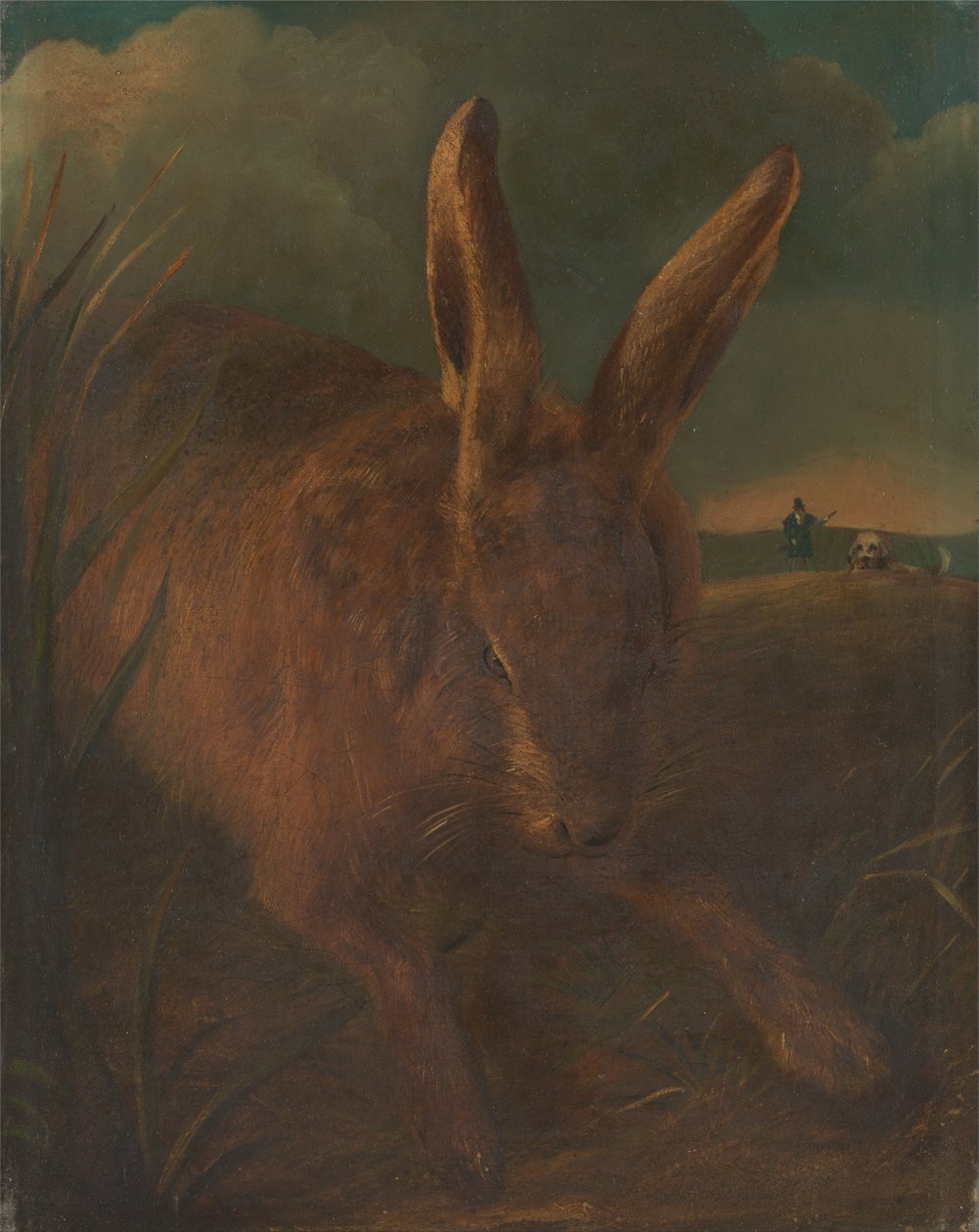 Harejagt af Philip Reinagle