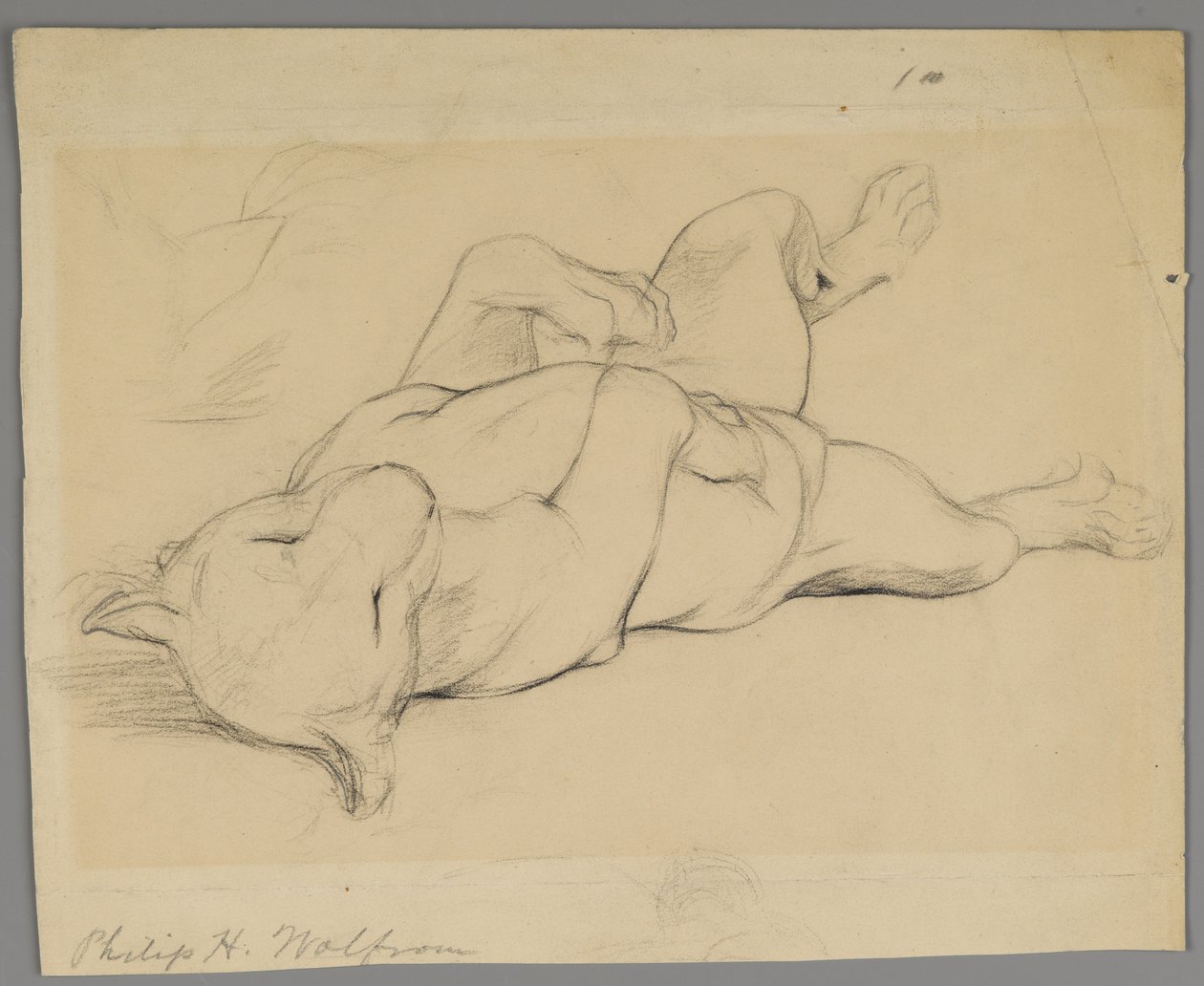 Sovende løvinde (grafit på papir) af Philip H. Wolfrom