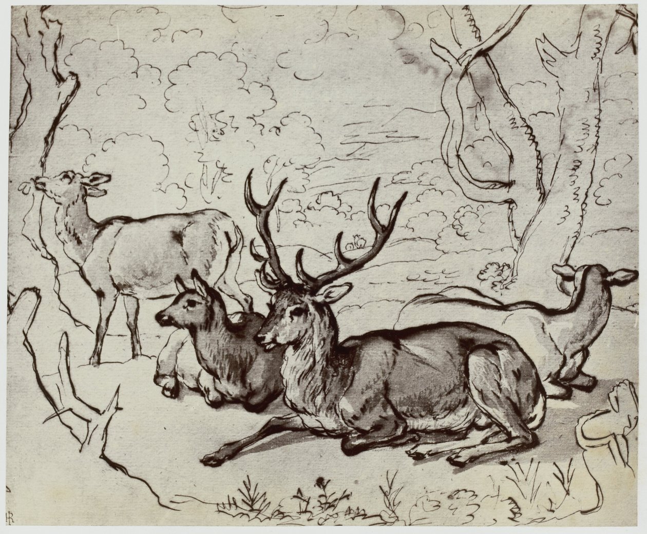 Ridinger, en hjort af Philip Henry Delamotte
