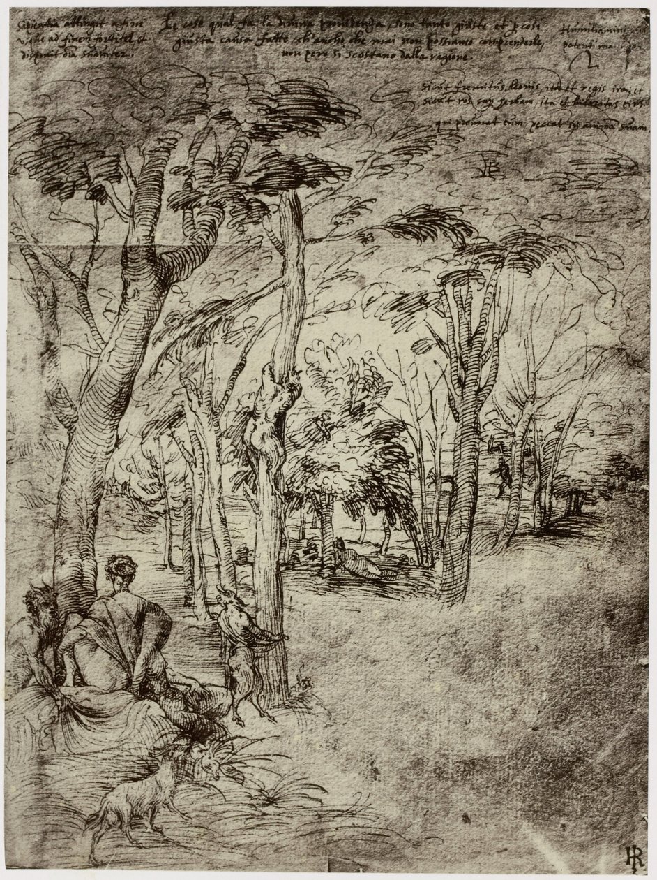 Titiaan, Design til et billede af Philip Henry Delamotte