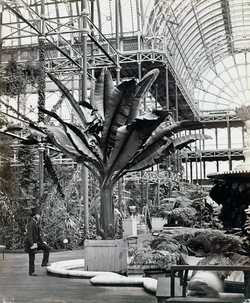 Tropiske planter i det egyptiske rum, Crystal Palace, Sydenham, London, 1854 af Philip Henry Delamotte