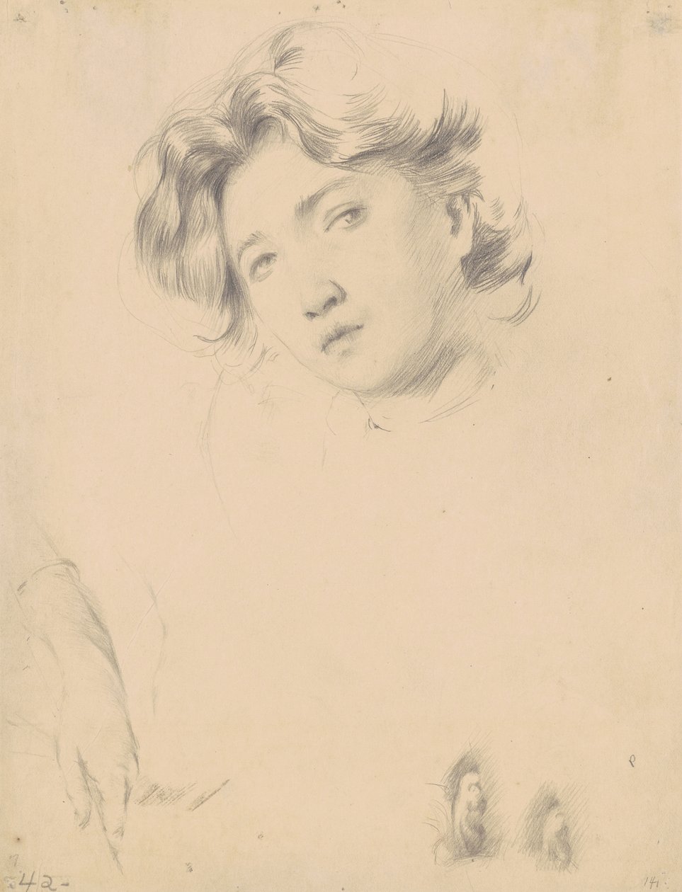 Study for the Head of a Girl, ca. 1900 (grafit på vævet papir) af Philip Leslie Hale