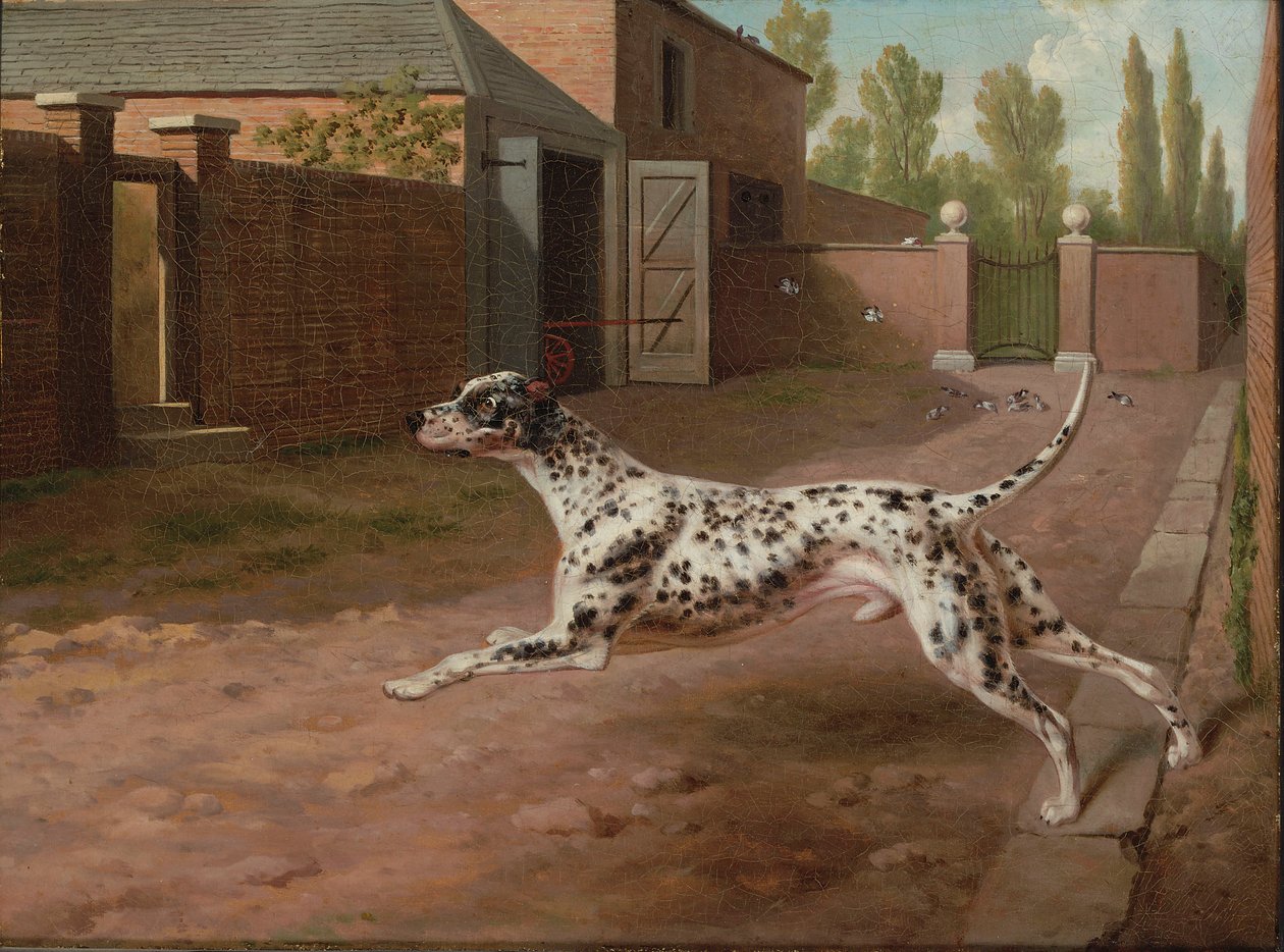 En Dalmation, der løber i en staldgård af Philip Reinagle