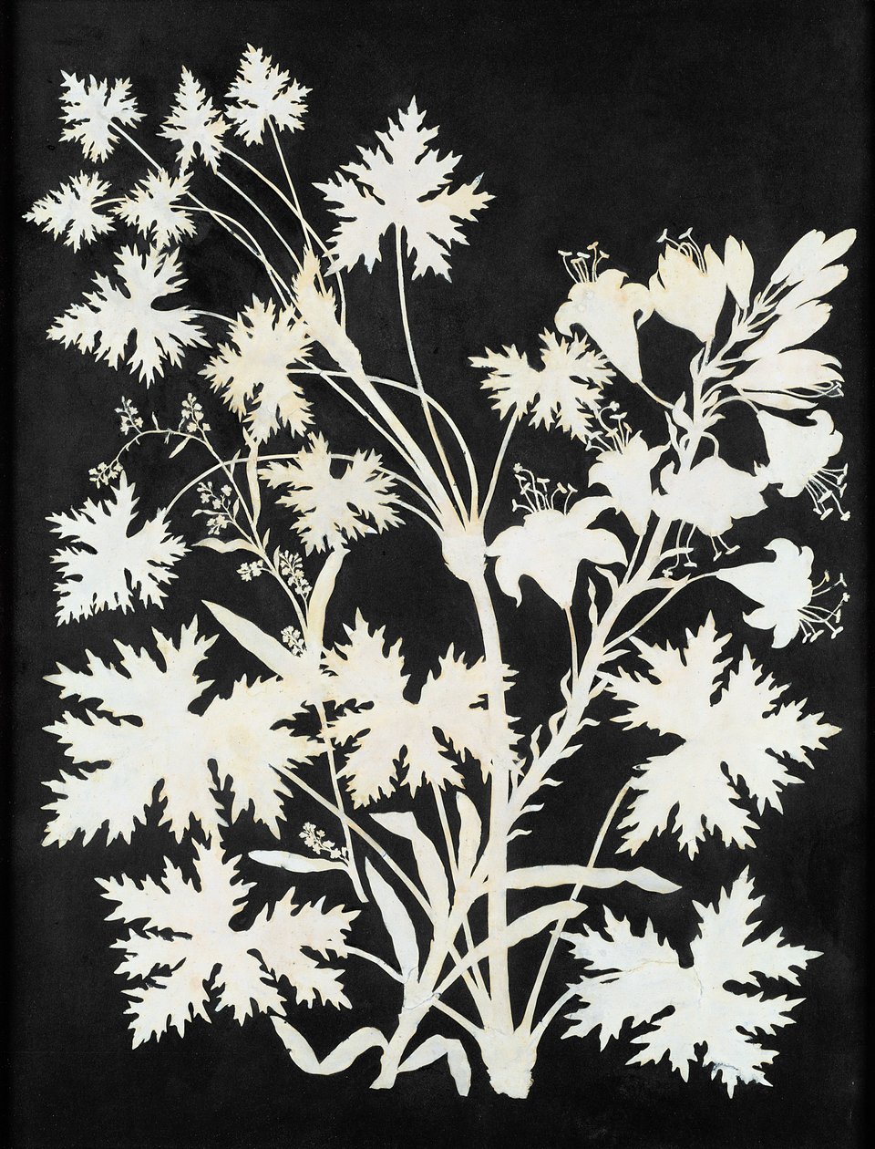 Blomster i silhuet af Philipp Otto Runge