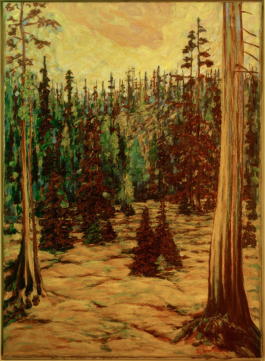 Sommerwald af Philipp Bauknecht