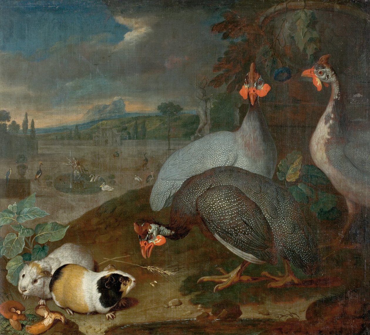 Perlehøns med marsvin af Philipp Ferdinand de Hamilton