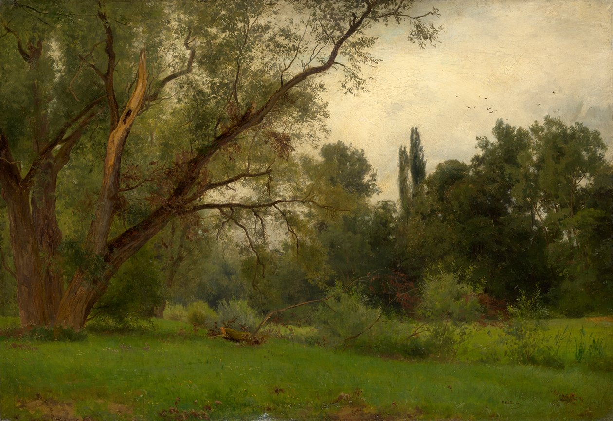 I parken Kleinheubach am Main af Philipp Röth
