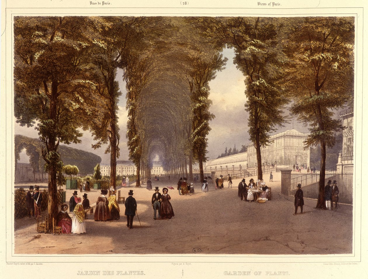 Le Jardin des Plantes - i "" En gåtur i Paris og dens omgivelser "", af Jacottet og Benoist, Paris, ca. 1840 af Philippe Benoist