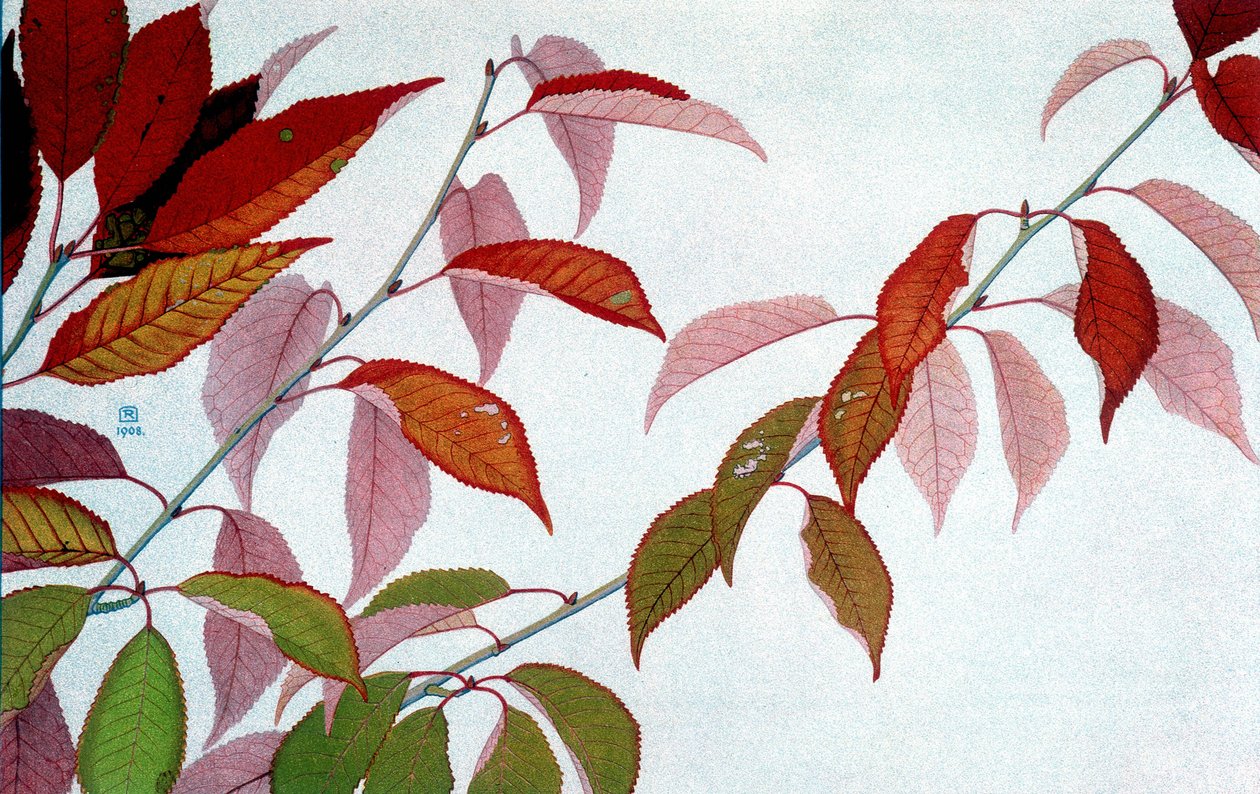 Autumn Leaves, af Philippe Robert, Robert Ried udgaver af Philippe Robert