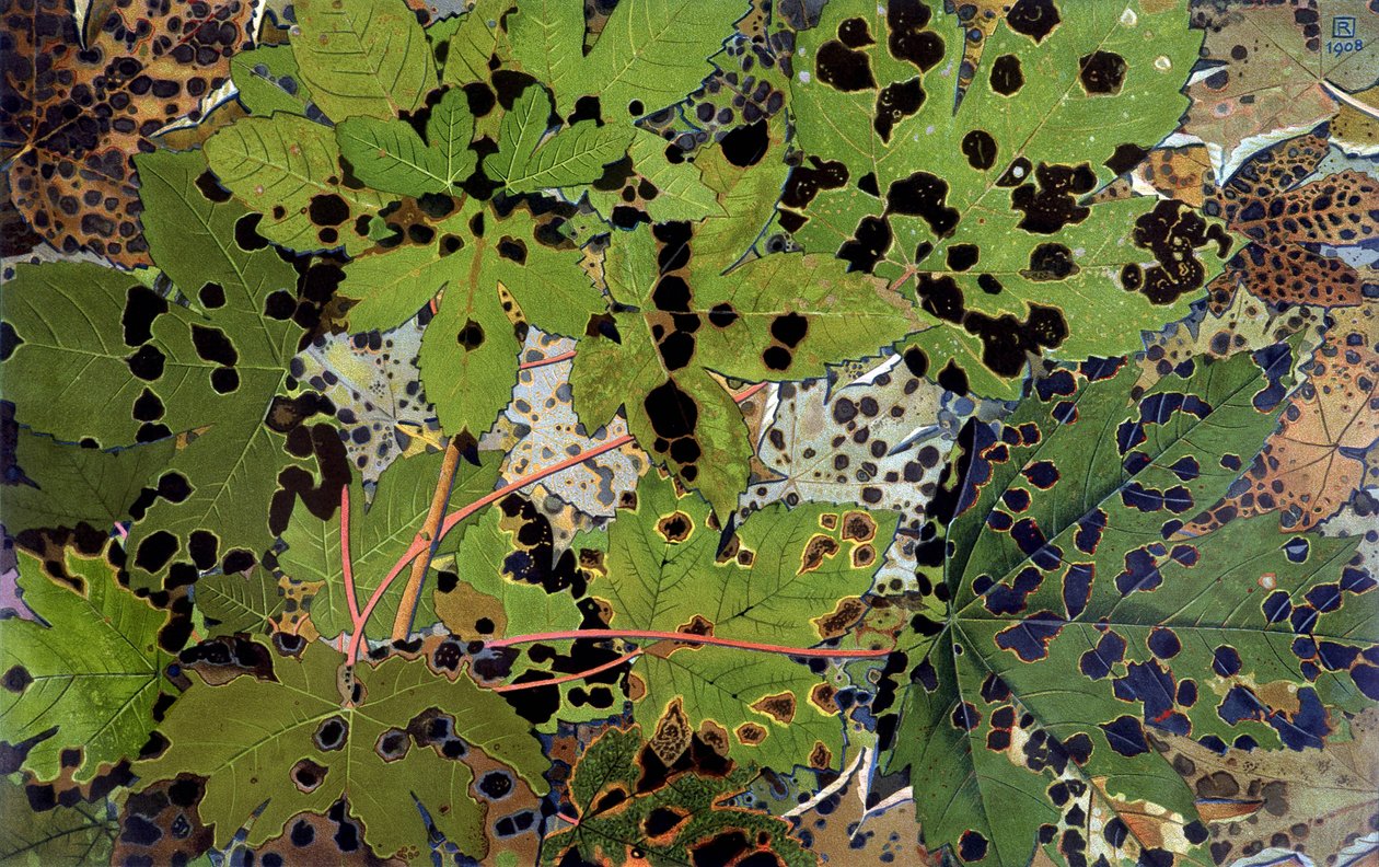 Autumn Leaves, af Philippe Robert, Robert Ried udgaver af Philippe Robert