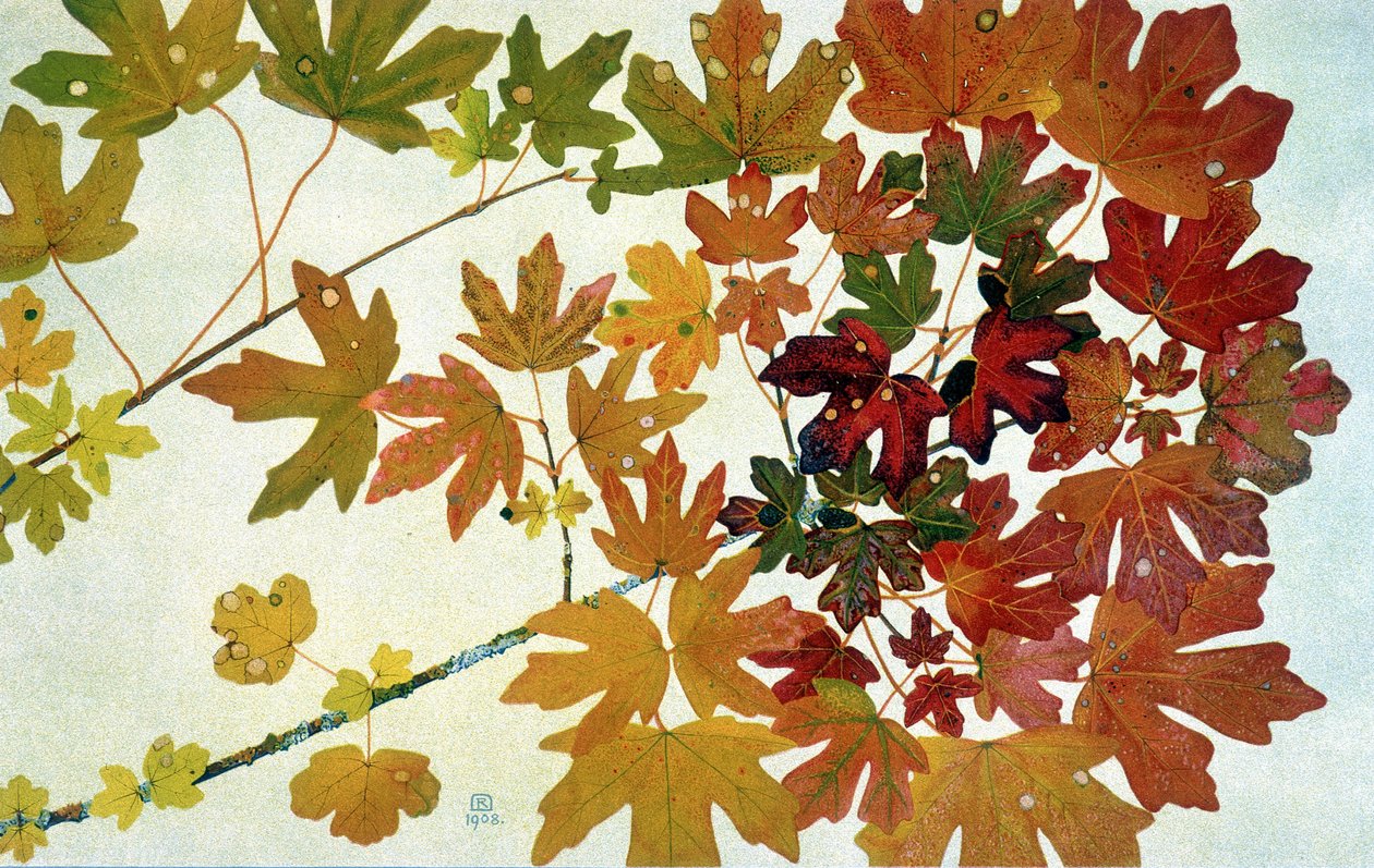 Autumn Leaves, af Philippe Robert, Robert Ried udgaver af Philippe Robert