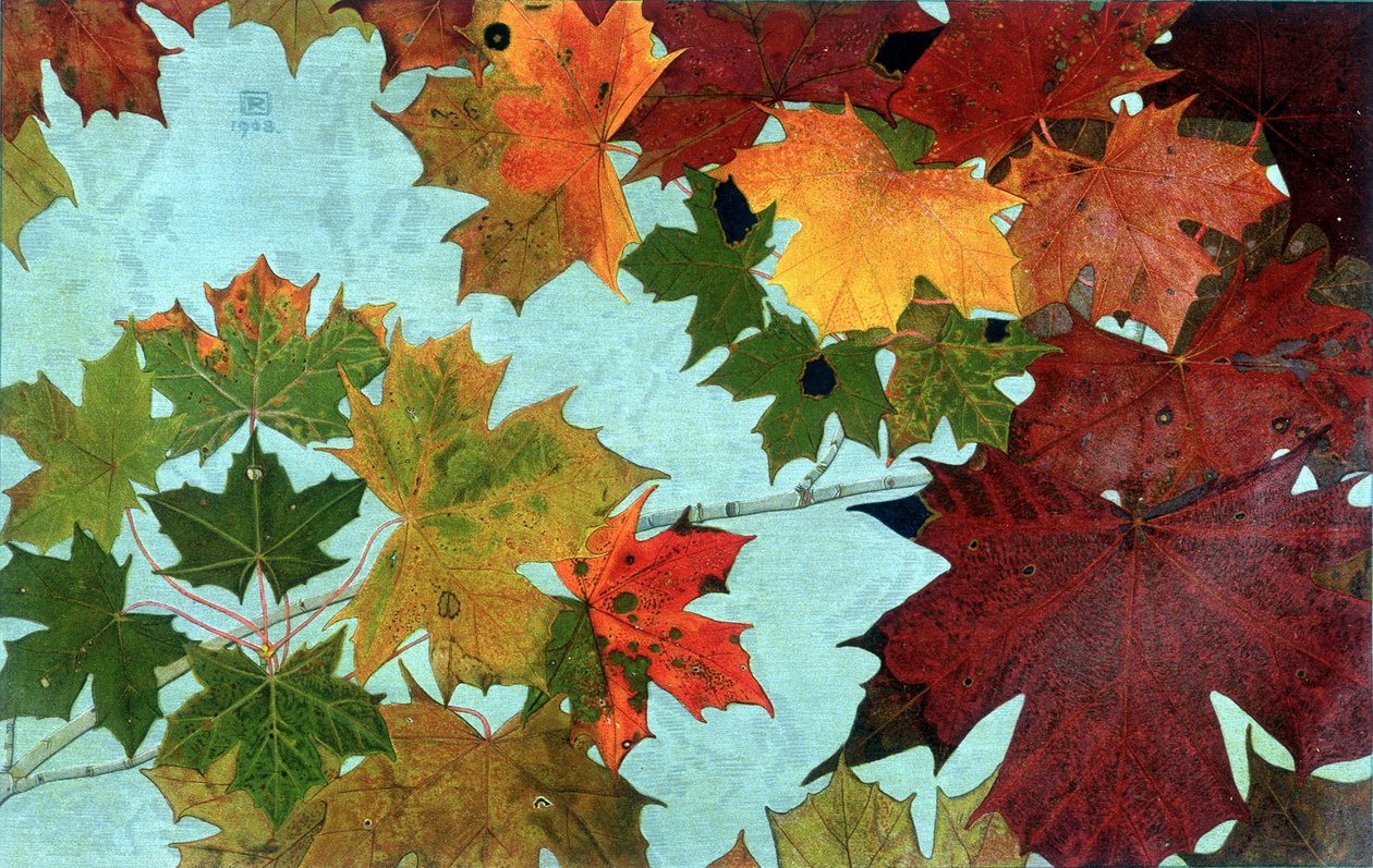 Autumn Leaves, af Philippe Robert, Robert Ried udgaver af Philippe Robert