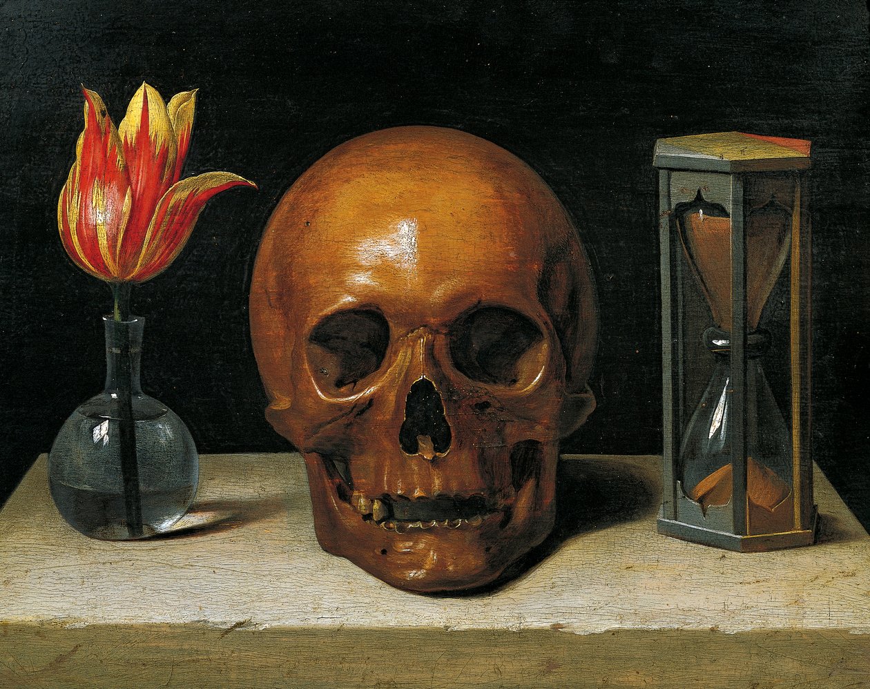 Vanitas stilleben med tulipan, kranium og timeglas (olie på panel) af Philippe de Champaigne