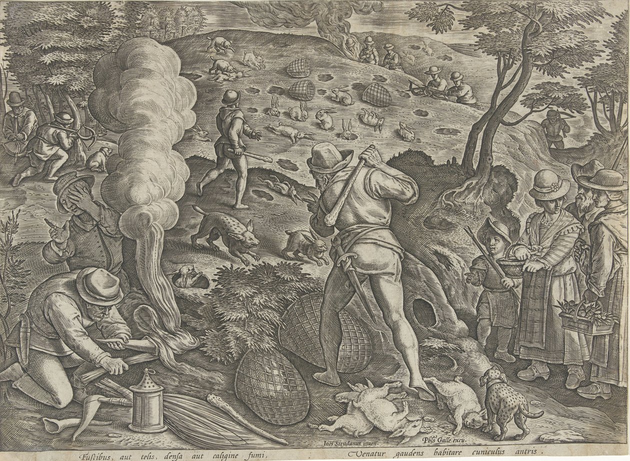 Konijnenjacht Jachttaferelen (serietitel) hvor enhver slags jagt, fuglefangst og fiskeri (serietitel) af Philips Galle (possibly)