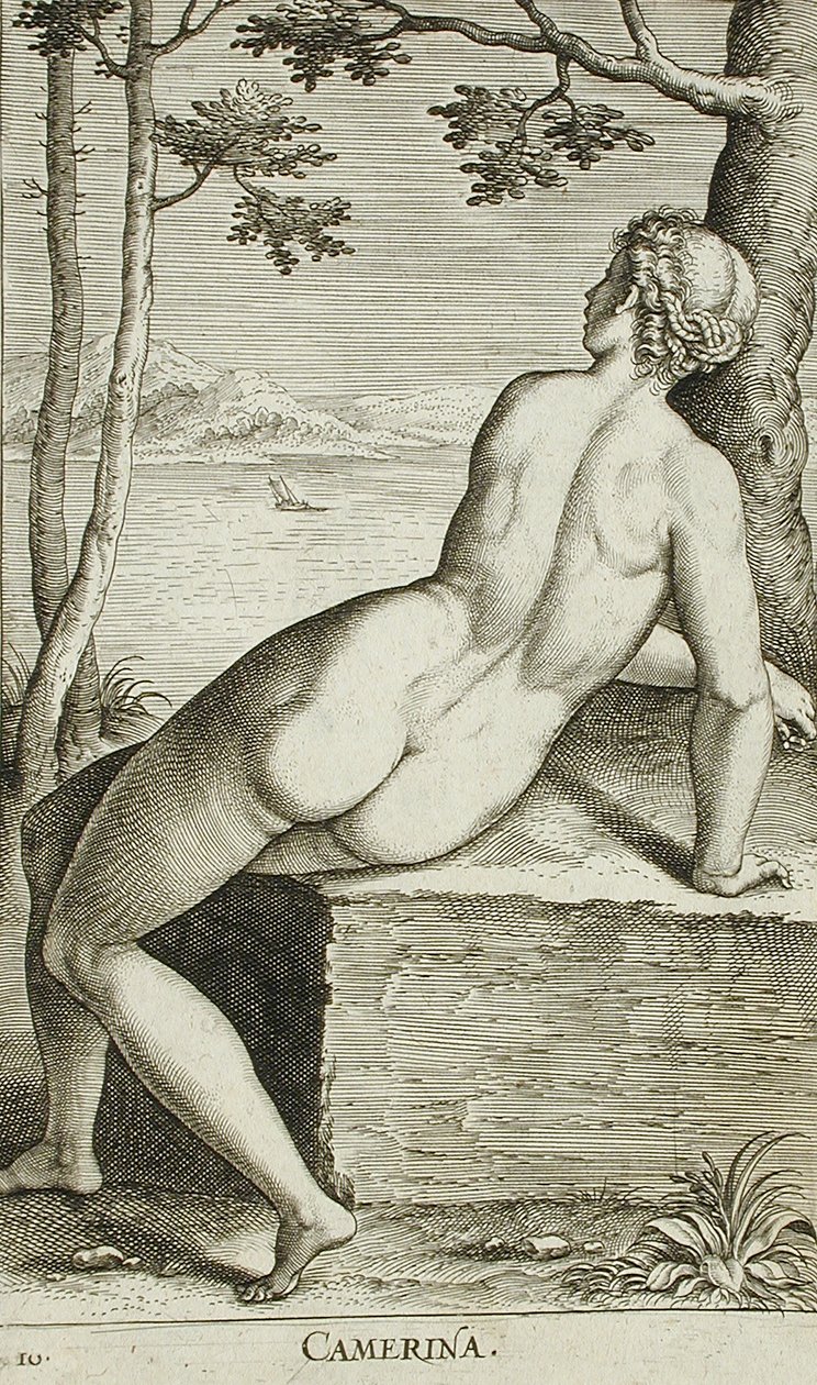 Camerina af Philips Galle
