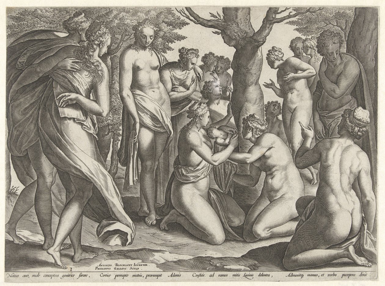 Adonis fødsel The Story of Adonis (serietitel) af Philips Galle