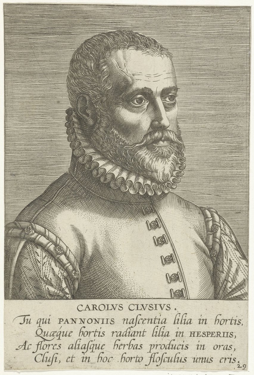 Portræt af Carolus Clusius af Philips Galle