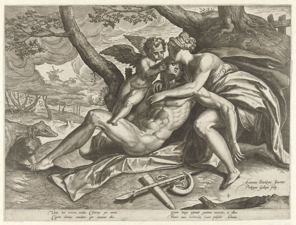 Venus sørger over Adonis