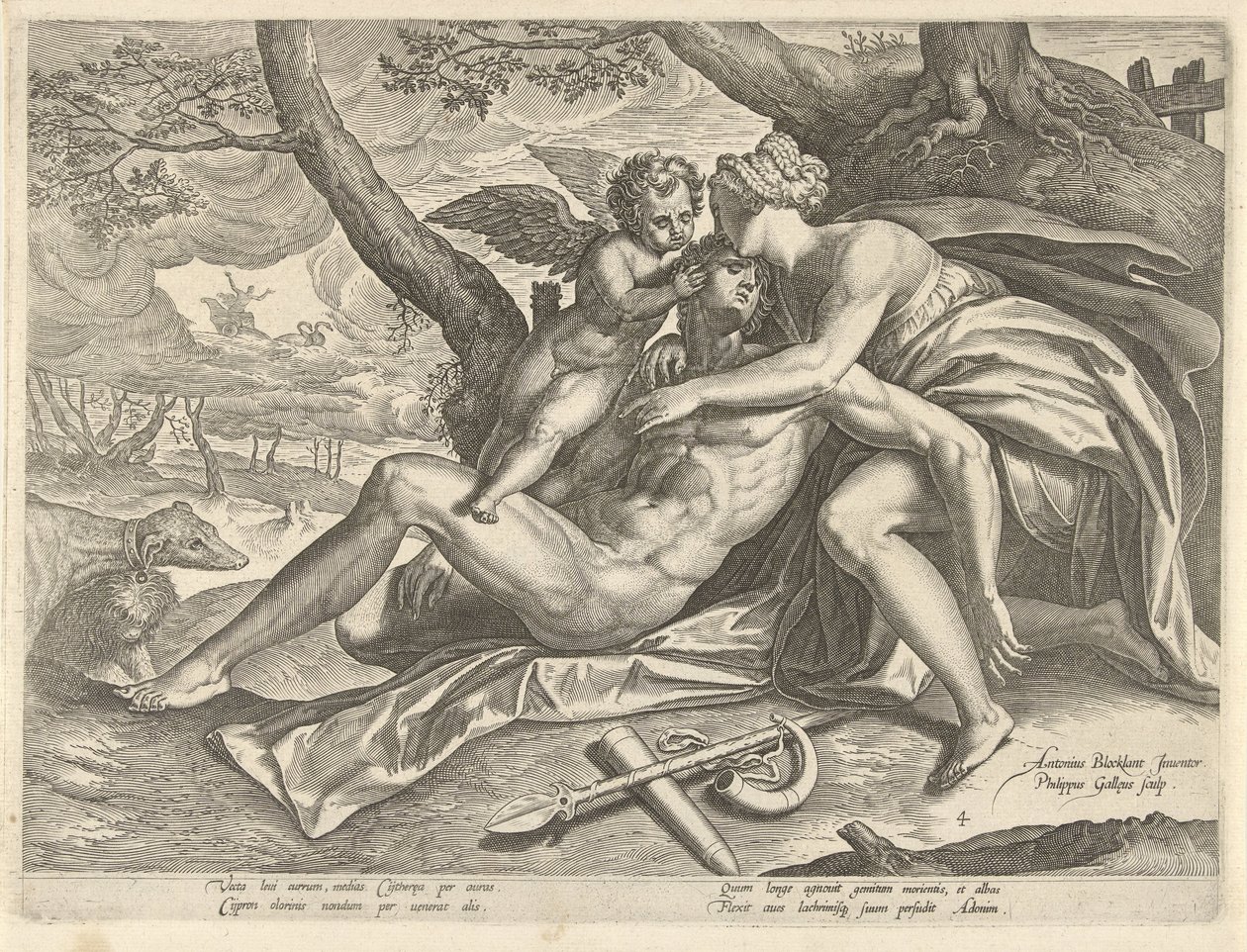 Venus sørger over Adonis