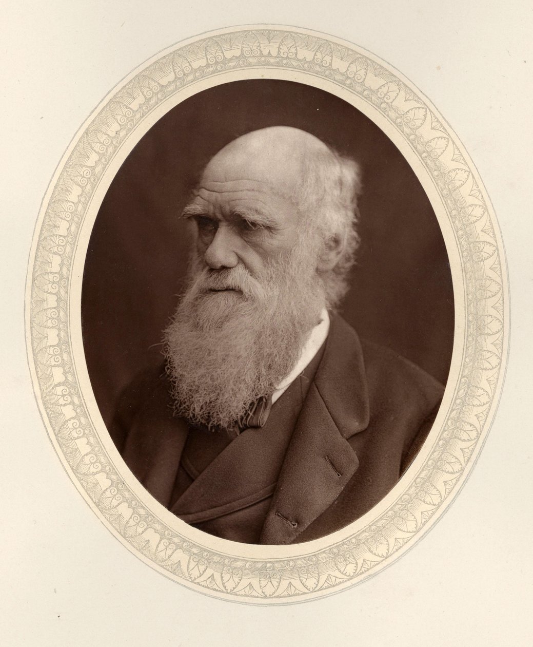 Portræt af Charles Darwin 1809-1882, 1877. af Photo studio Lock and Whitfield