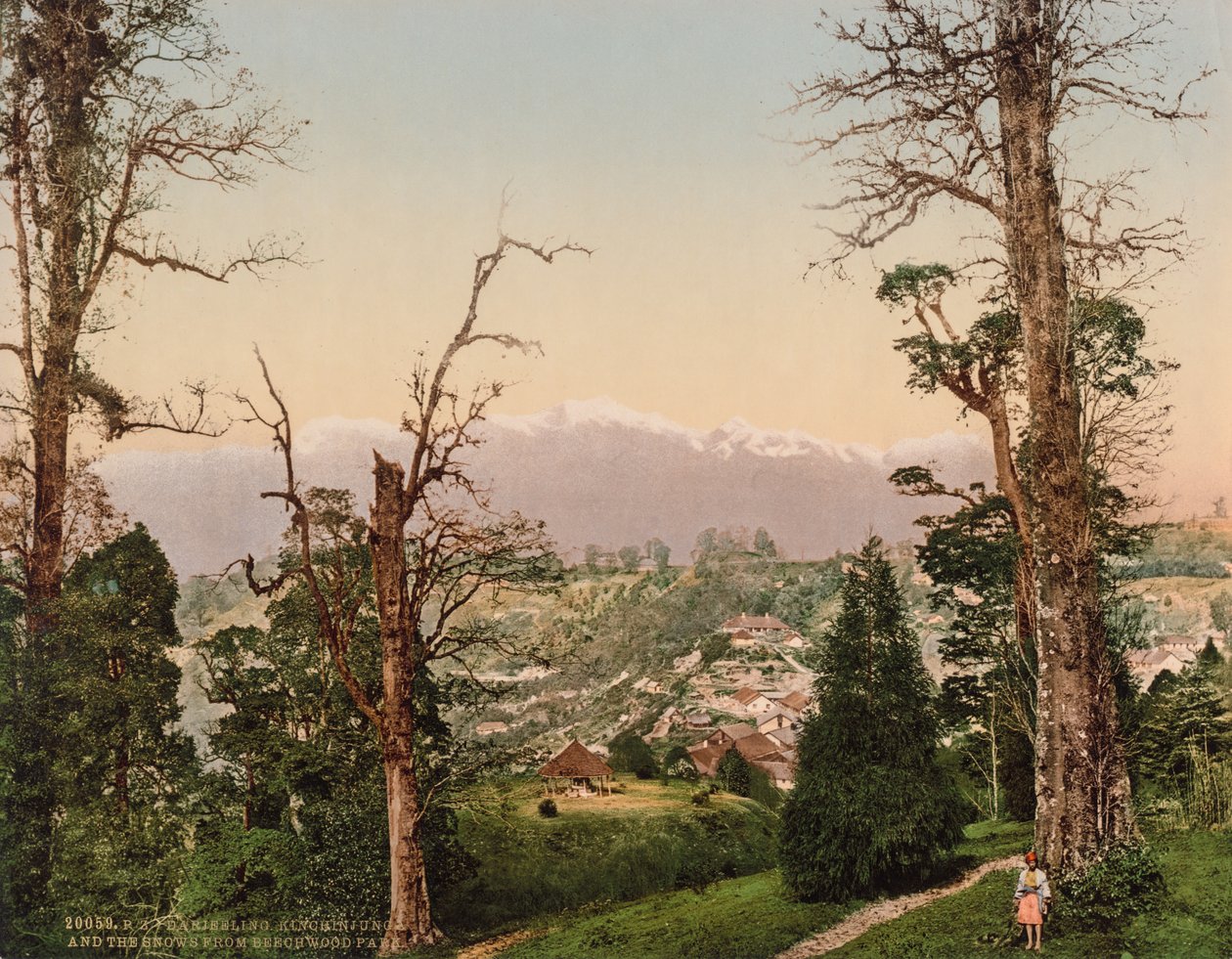 Darjeeling. Kinchinjunga og sneen fra Beechwood Park af Photoglob Co. (Zurich, active c. 1890 1910)