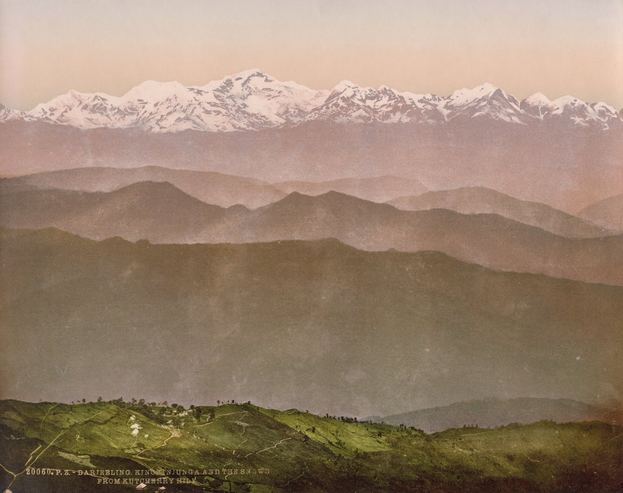 Darjeeling. Kinchinjunga og sneen fra Kutcherry Hill af Photoglob Co. (Zurich, active c. 1890 1910)