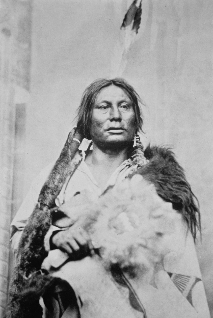 Chief Gall (ca. 1840-94) (s/hvid foto) af Photographer American