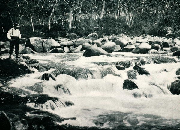 Trout rapids in Snowy River, Jindabyne, New South Wales, ca. 1900, fra `Under the Southern Cross - Glimpses of Australia