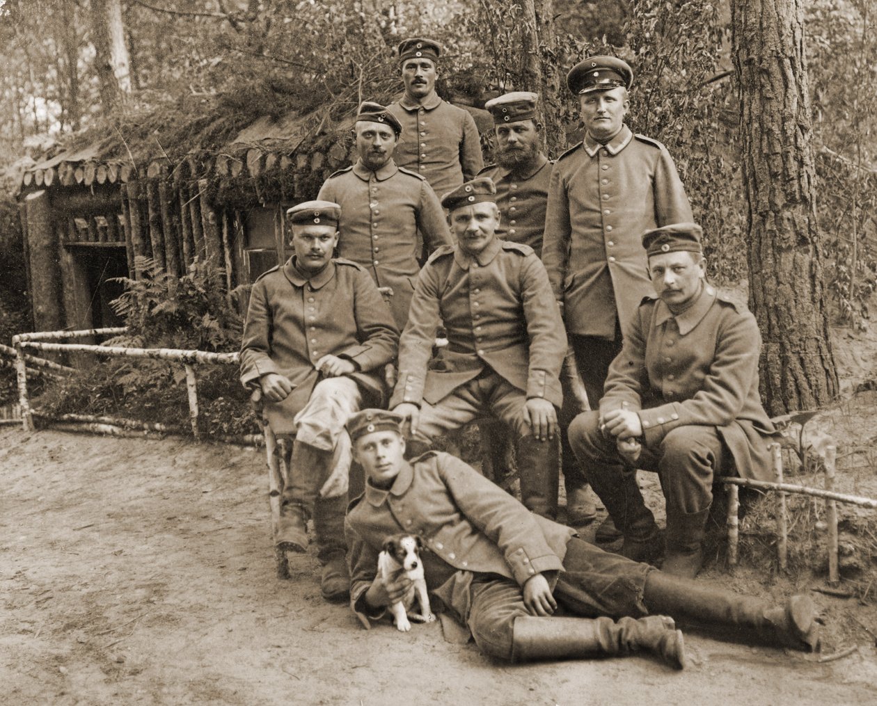 Gruppe af tyske soldater med en hund af Photographer German
