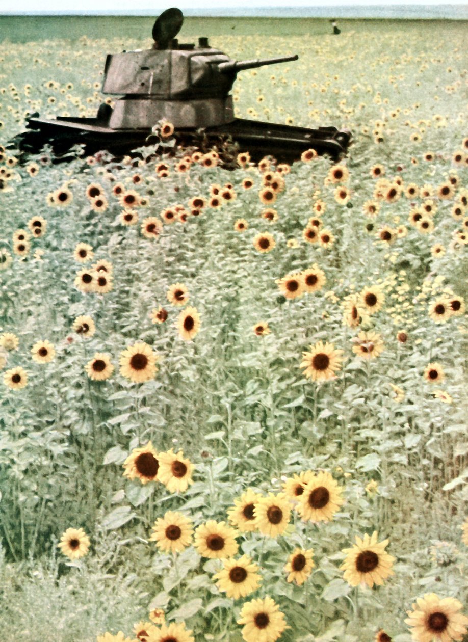Operation Barbarossa af Photographer German