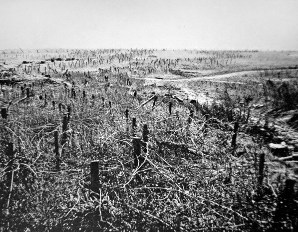 WWI Pigtrådsforsvar af den tyske Beaurevoir-position, en del af Hindenburg-linjen af Photographer German