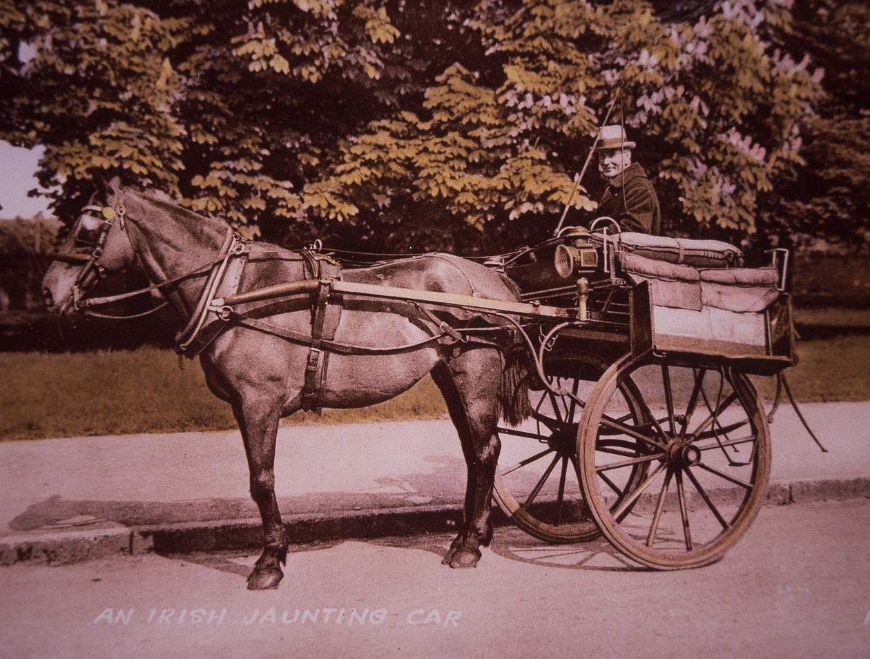 An Irish Jaunting Car, ca. 1910 (håndfarvet sort/hvid foto) af Photographer Irish