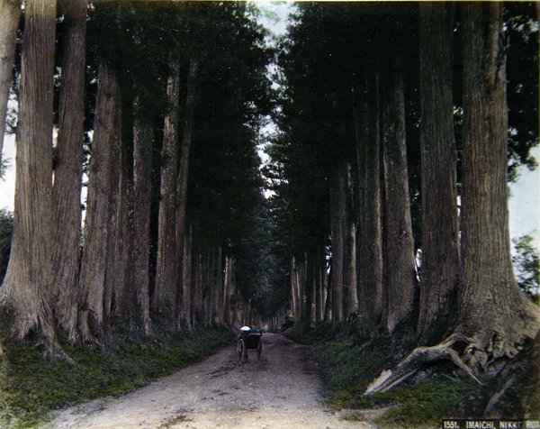 Rickshaw på en træklædt vej ved Nikko, ca. 1900 (farvet foto) af Photographer Japanese