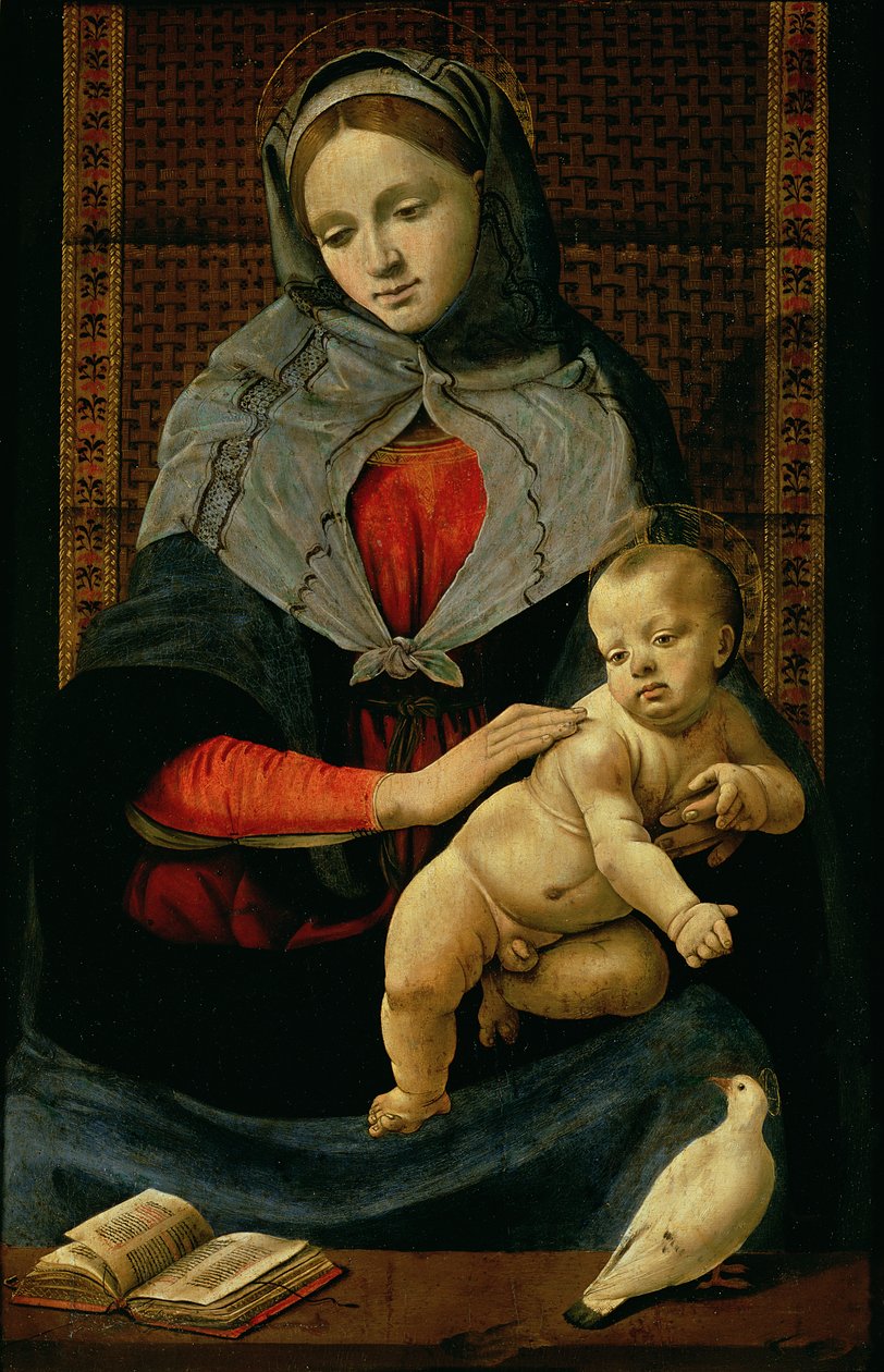 Madonna og barn med en due af Piero di Cosimo