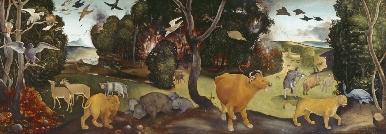 Skovbranden, 1400-tallet af Piero di Cosimo