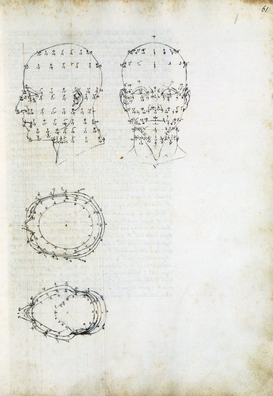 Konstruktion og geometrisk projektion af hovedet, side fra De Prospectiva pingendi (On Perspective of painting), af Piero della Francesca (ca 1415-1492), Italien af Piero della Francesca