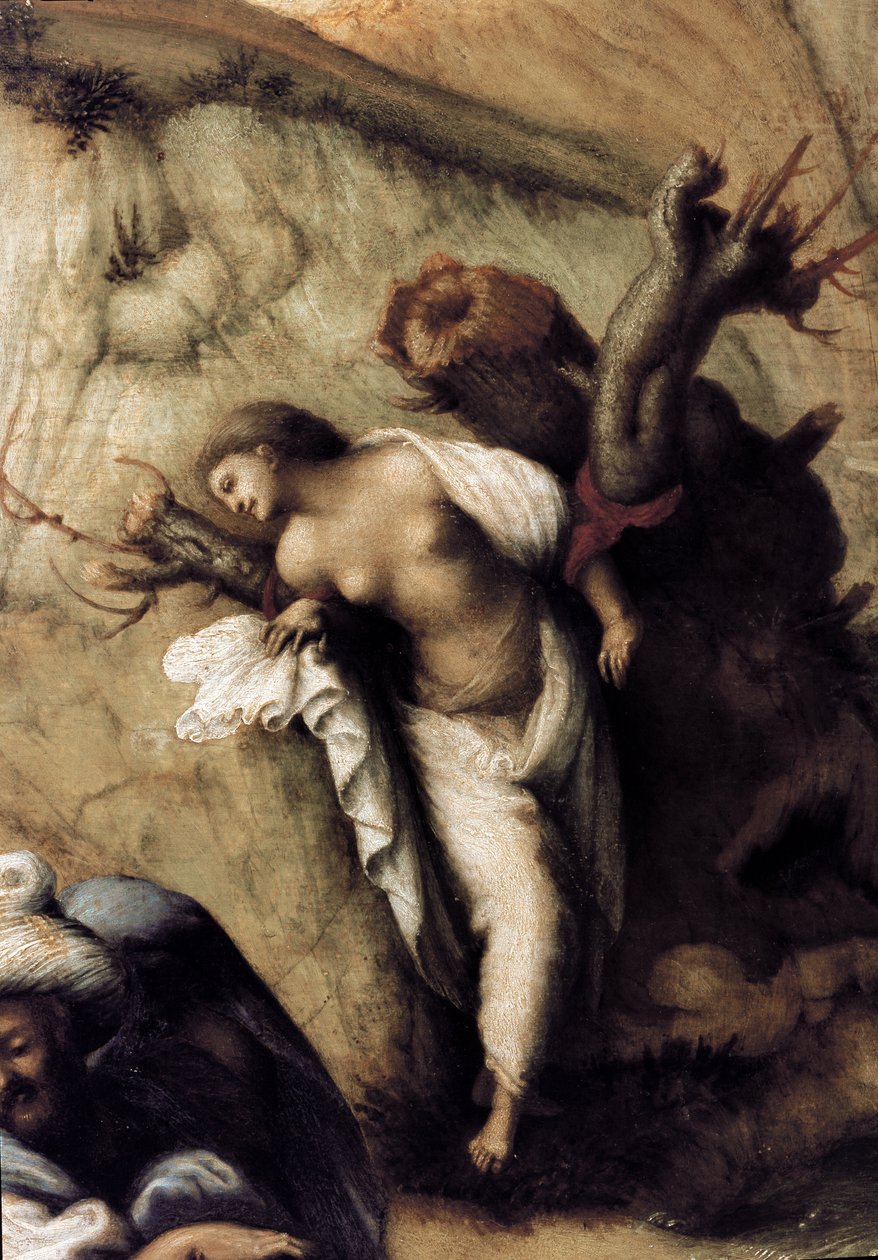 Andromede leveret af Persee, detalje (1510, olie på lærred) af Piero di Cosimo